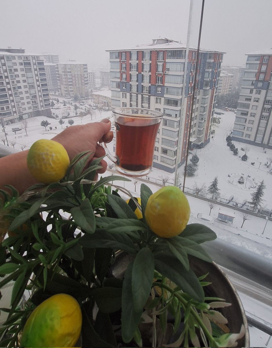 Anlık balkonumdan❄️❄️☃️

İyi akşamlar...🍫☕️

#karyağışı   ......  huzurla  🤍❄️