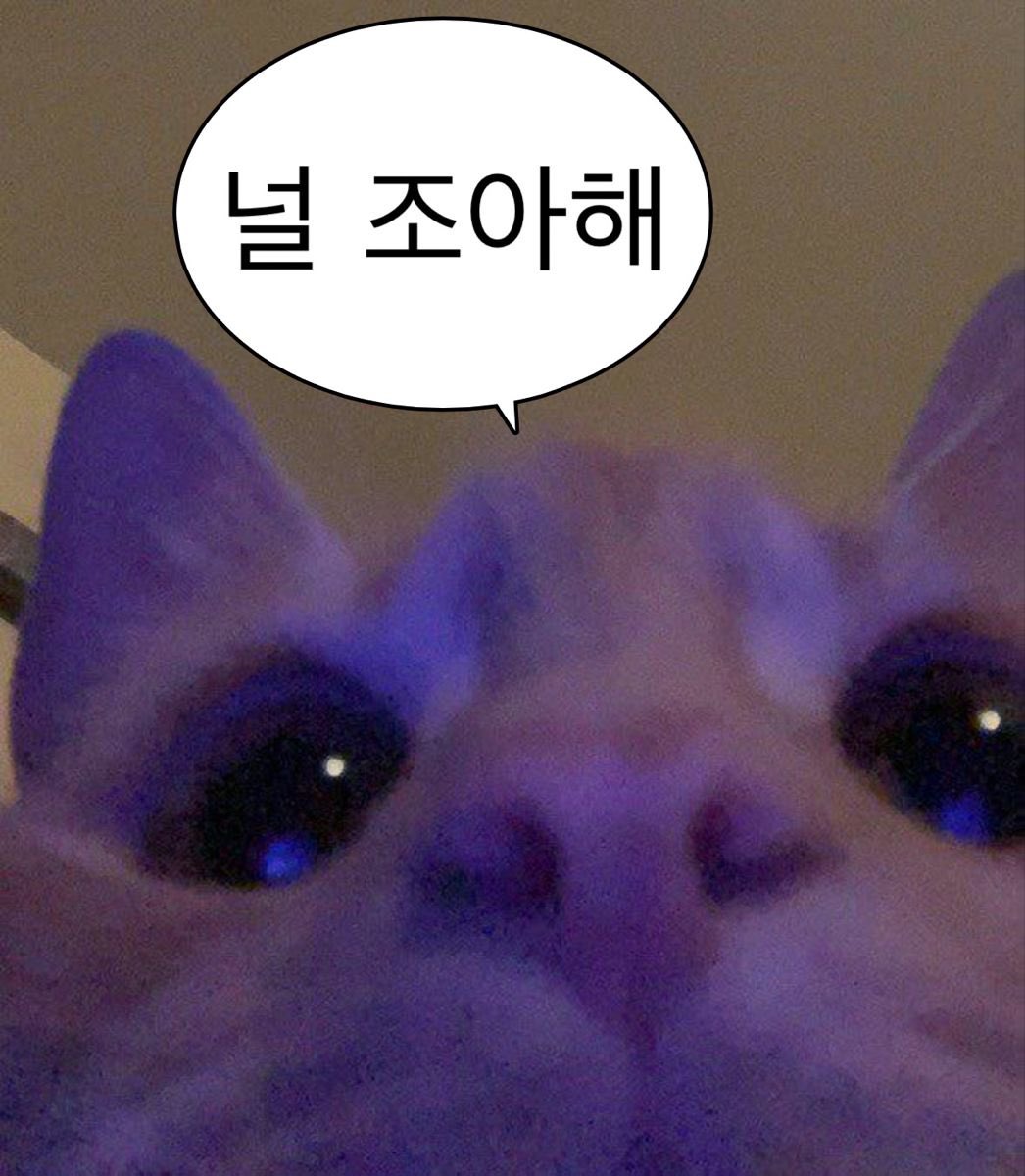 dash_blank's tweet photo. https://t.co/A08D4fbGL8