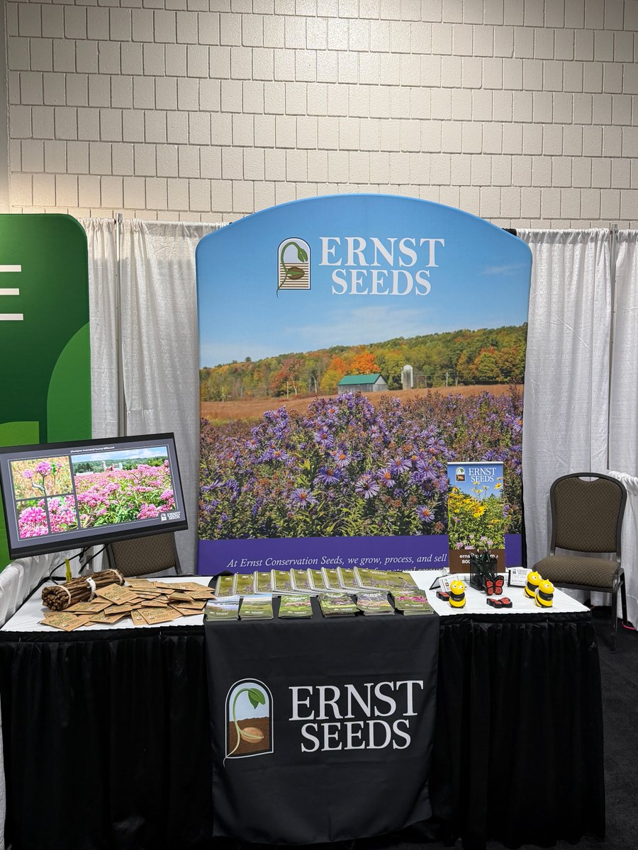 Ernst Seeds tweet media