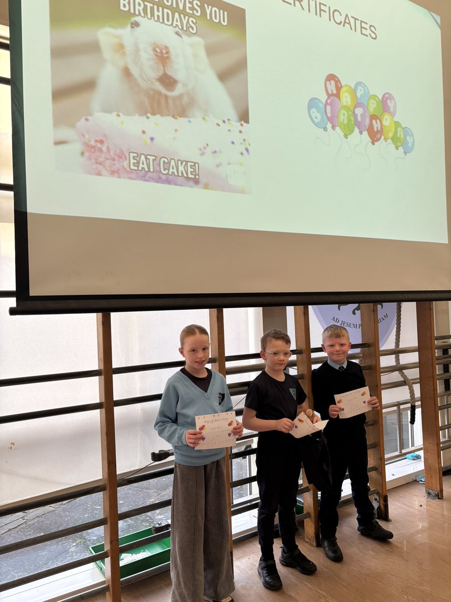 St Mary's Primary Coatbridge tweet media