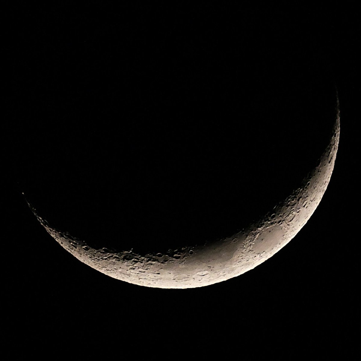 RikenTenmon's tweet image. #Moon tonight 

⏱️ Jan 21, 2026

#月