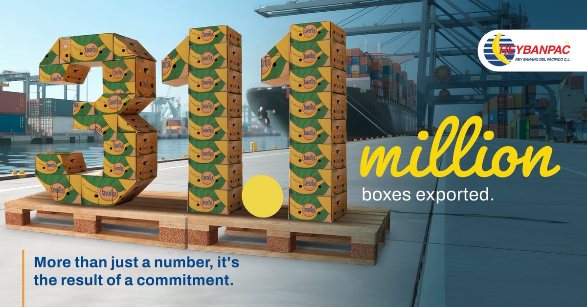 🍌 An achievement that goes beyond the numbers! ​
​
In 2025, we reached 31.1 million boxes of bananas exported, the result of the shared effort of more than 6,000 people and a strong commitment to quality, efficiency, and excellence.