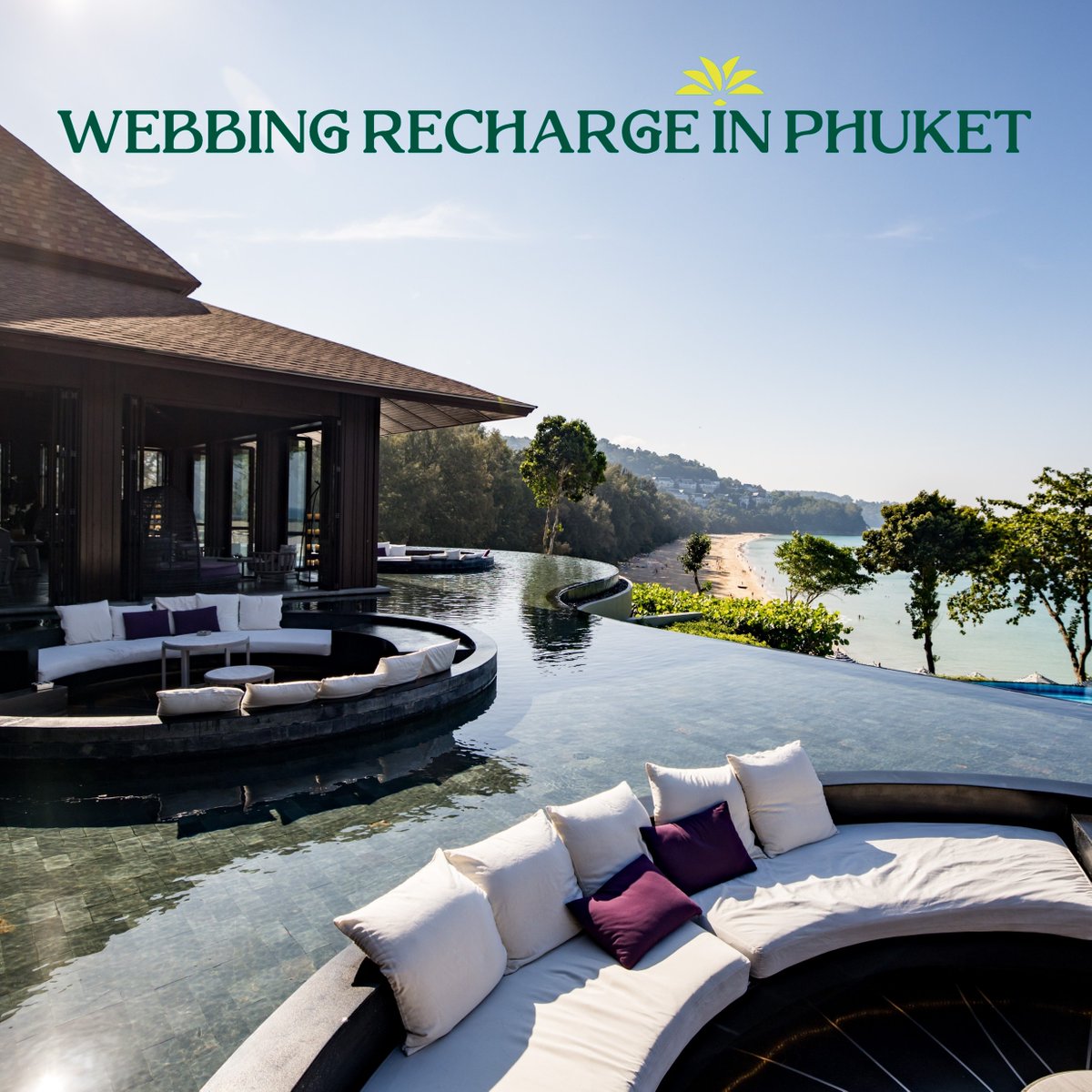 Webbing Inc tweet media