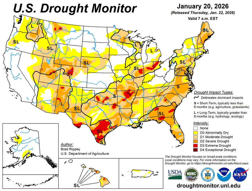 Roger Lewandowski tweet media