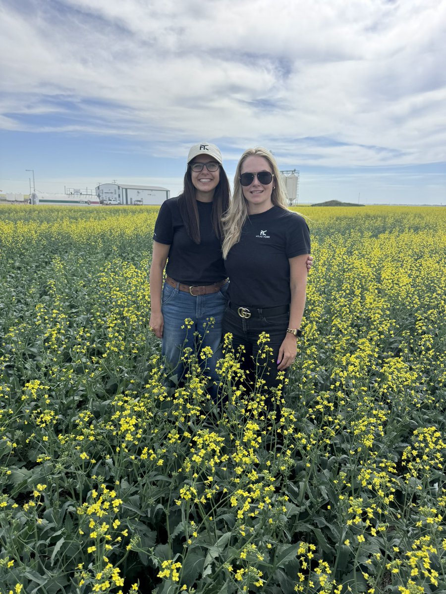 Atlas York Insurance tweet media