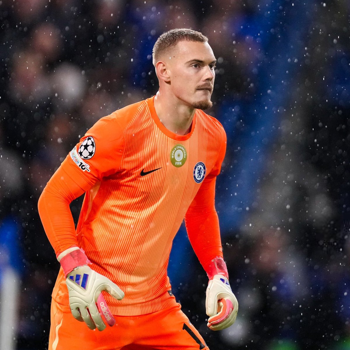 Kartal Record tweet media