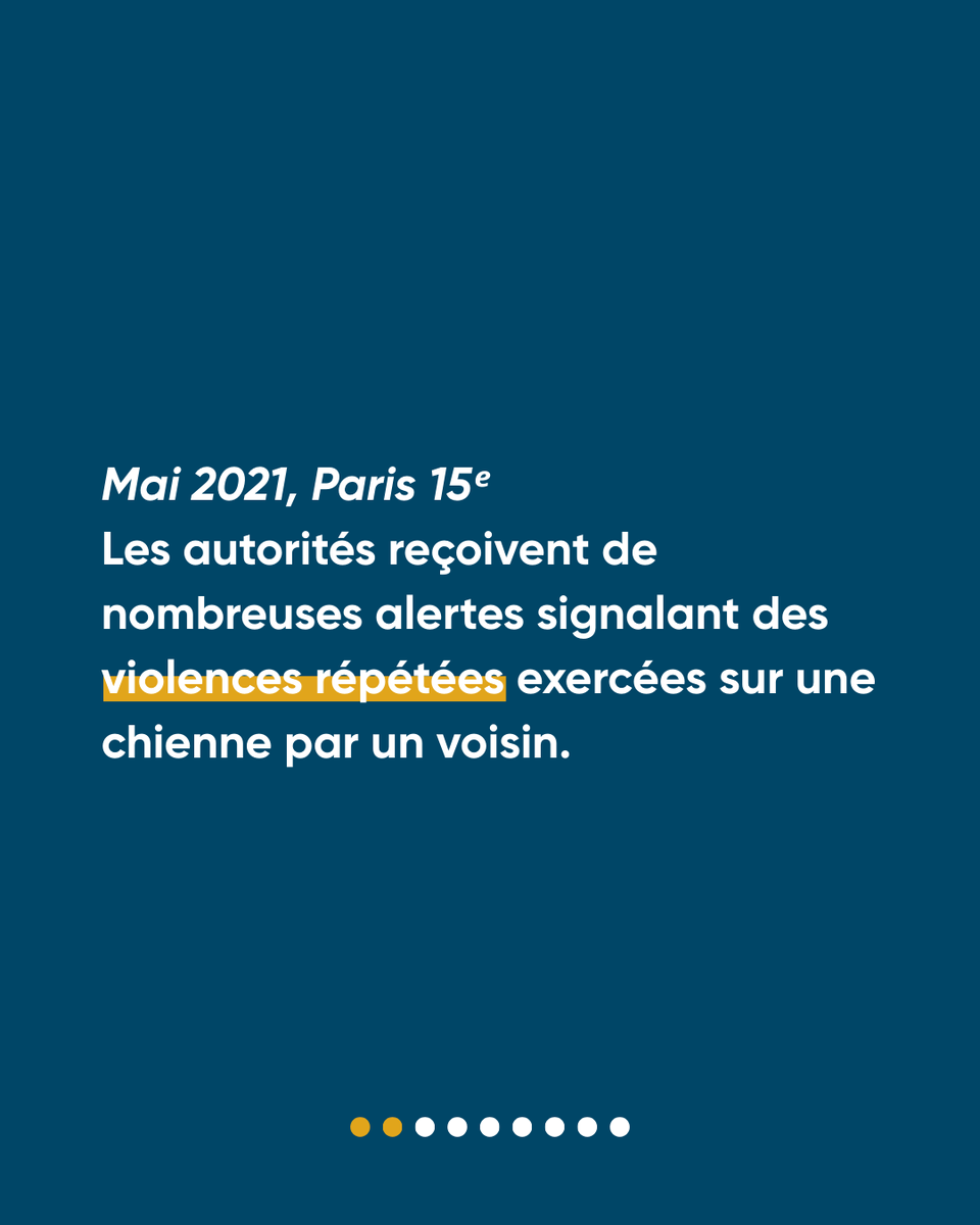 Défense de l'Animal tweet media