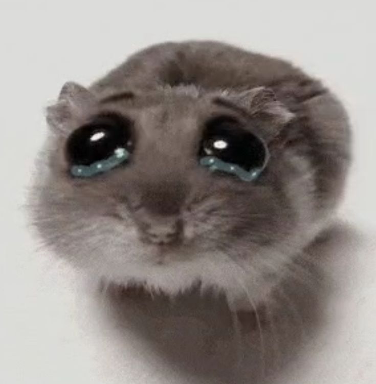 seyithekid's tweet image. YUPI ADEK GW MANA AJG, SP YG NGUMPETIN KANGEN BERATTT