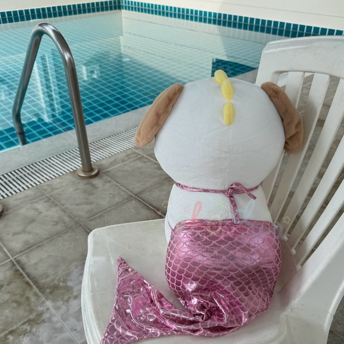 howtoloveAnton's tweet image. 왕룡이 뒷모습 미챠 안산 거 후회함 ㅜ ㅜ ♡