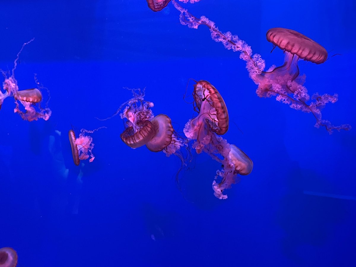 ottoottoo_'s tweet image. ตากล้องฉ่วนตัววววว📸😚
#JaoNorth #ottoottoo