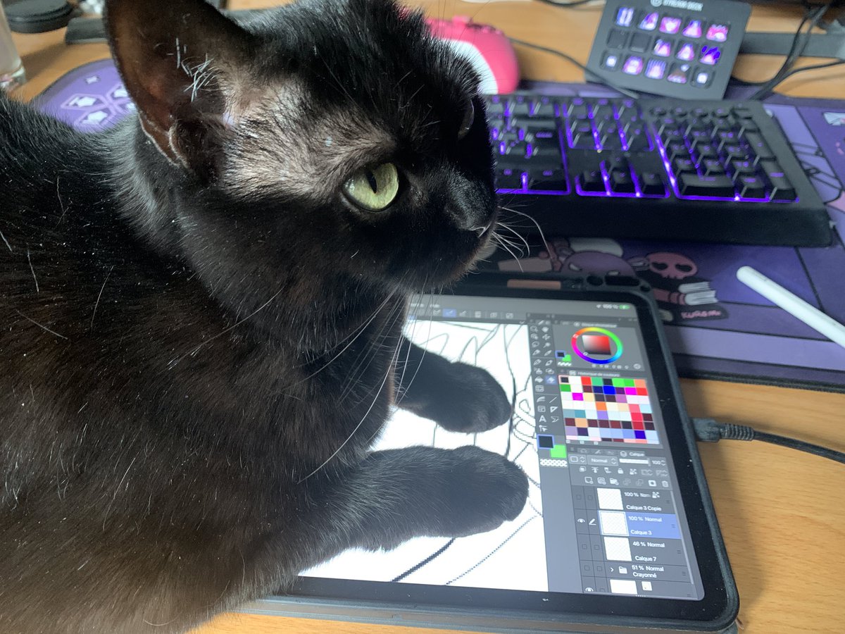 YunaChannel / ユナ tweet media