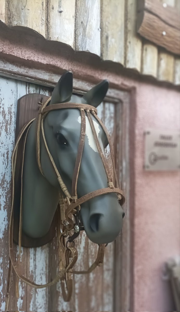 El primero del año y de trabajo 
Doble tapa y corredores largos con bombas de variación
#NegroViejo
#guasquilla
#MinasLavalleja