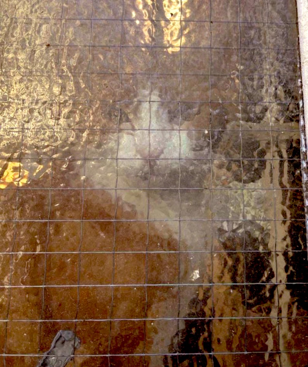 TheStourbridge's tweet image. Since it started raining all the FC has done is look through the window.

If it gets any worse I will have to let them in!