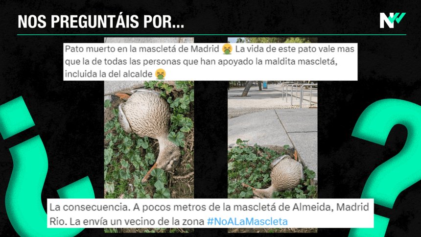 DCognitivos's tweet image. Alvaro Fernandez Heredia, presidente de RENFE, es a la persona que tenemos que creer para conocer las causas del descarrilamiento de Adamuz.
Recordad que fue, mientras era concejal,  el que se inventó el bulo, de que una mascletá en Madrid había matado a un pato
Es muy creible