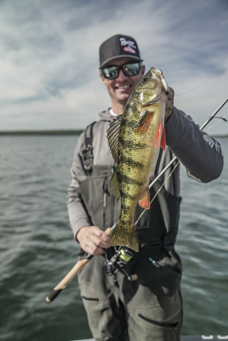 OUTDChannel's tweet photo. Korey Sprengel tours Green Bay while casting small glide baits for large Perch.
The Next Bite / ALL NEW SATURDAY AT 5 PM ET.
#FindYourAdventure #outdoors #fish #fishing #perch #yellowperch #perchfishing https://t.co/4odtcv3iht
