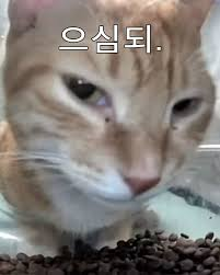 delight_code's tweet image. 으심되
매우 으심되