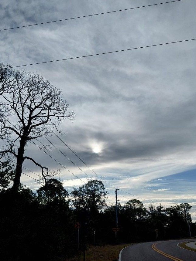 NeedlessToSay's tweet image. 