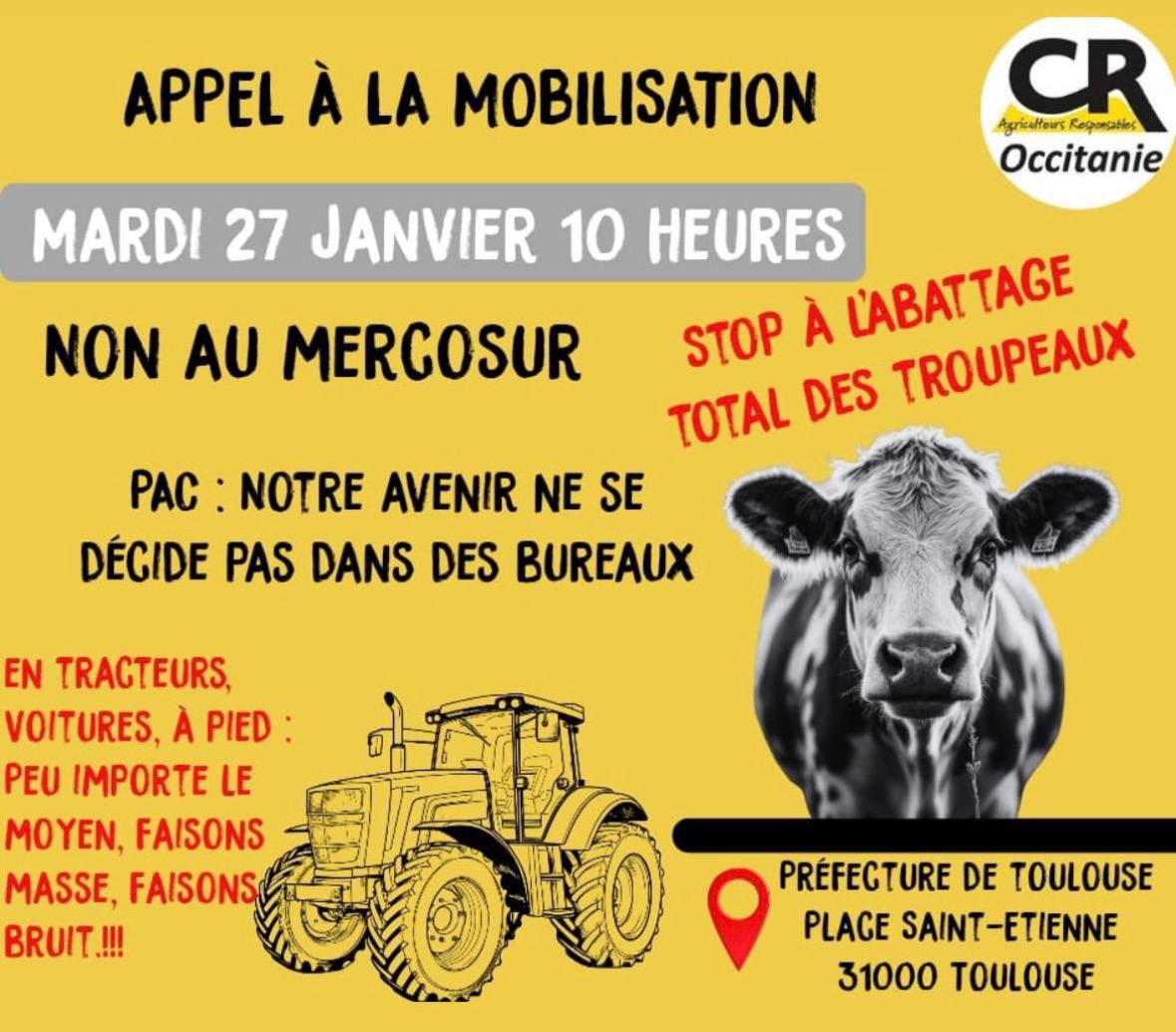 🚜🔴 BLOCAGE DE TOULOUSE ANNONCÉ !

Les agriculteurs de la Coordination rurale d’Occitanie appellent à se rassembler mardi 27 janvier devant la préfecture.