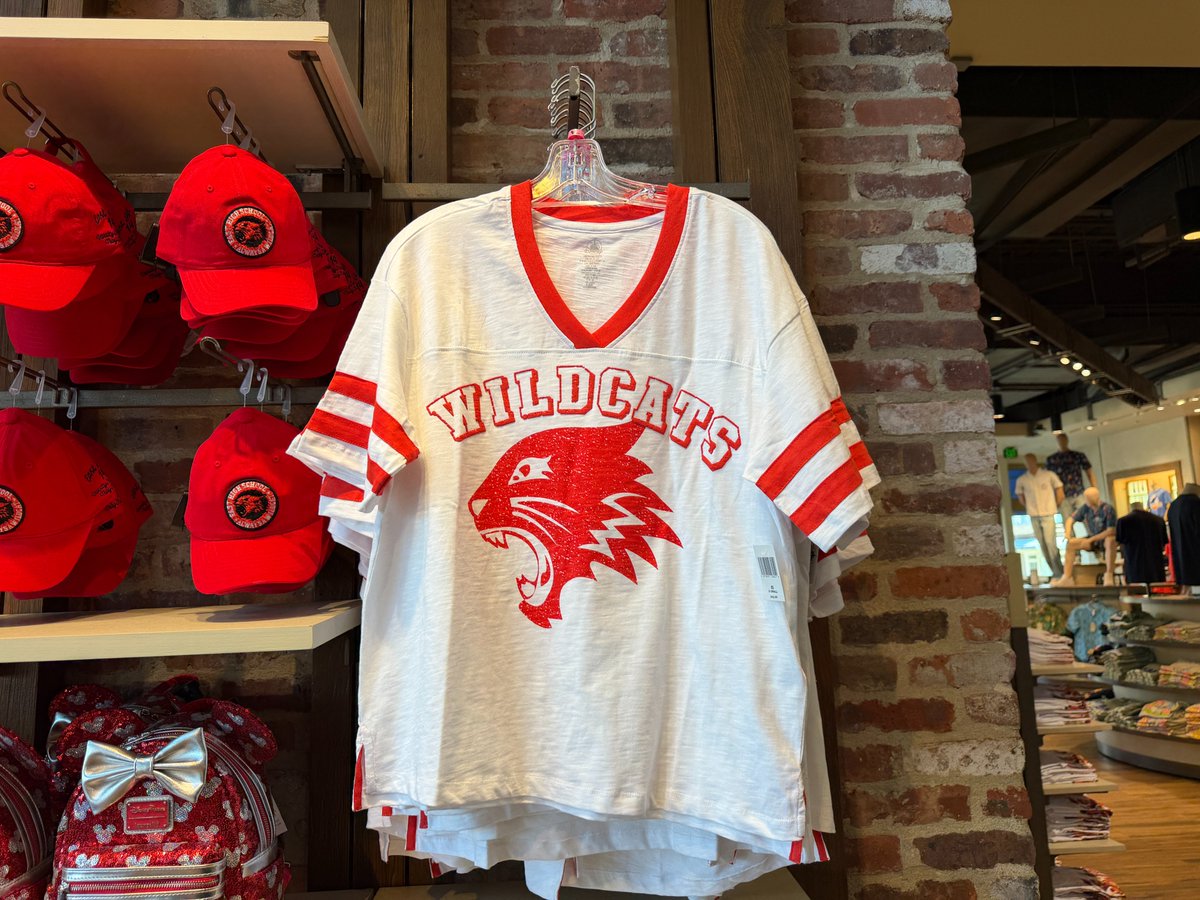 🏈🎶 NEW｜HSM 20周年 ハイスクール・ミュージカル ワイルドキャッツの