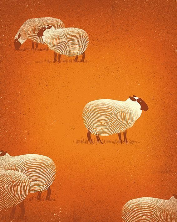 Ramin Nasibov (@raminnasibov) on Twitter photo 