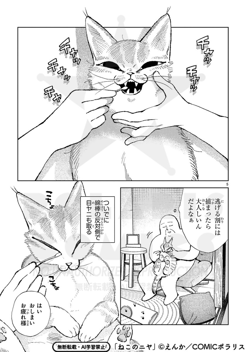 2/4 