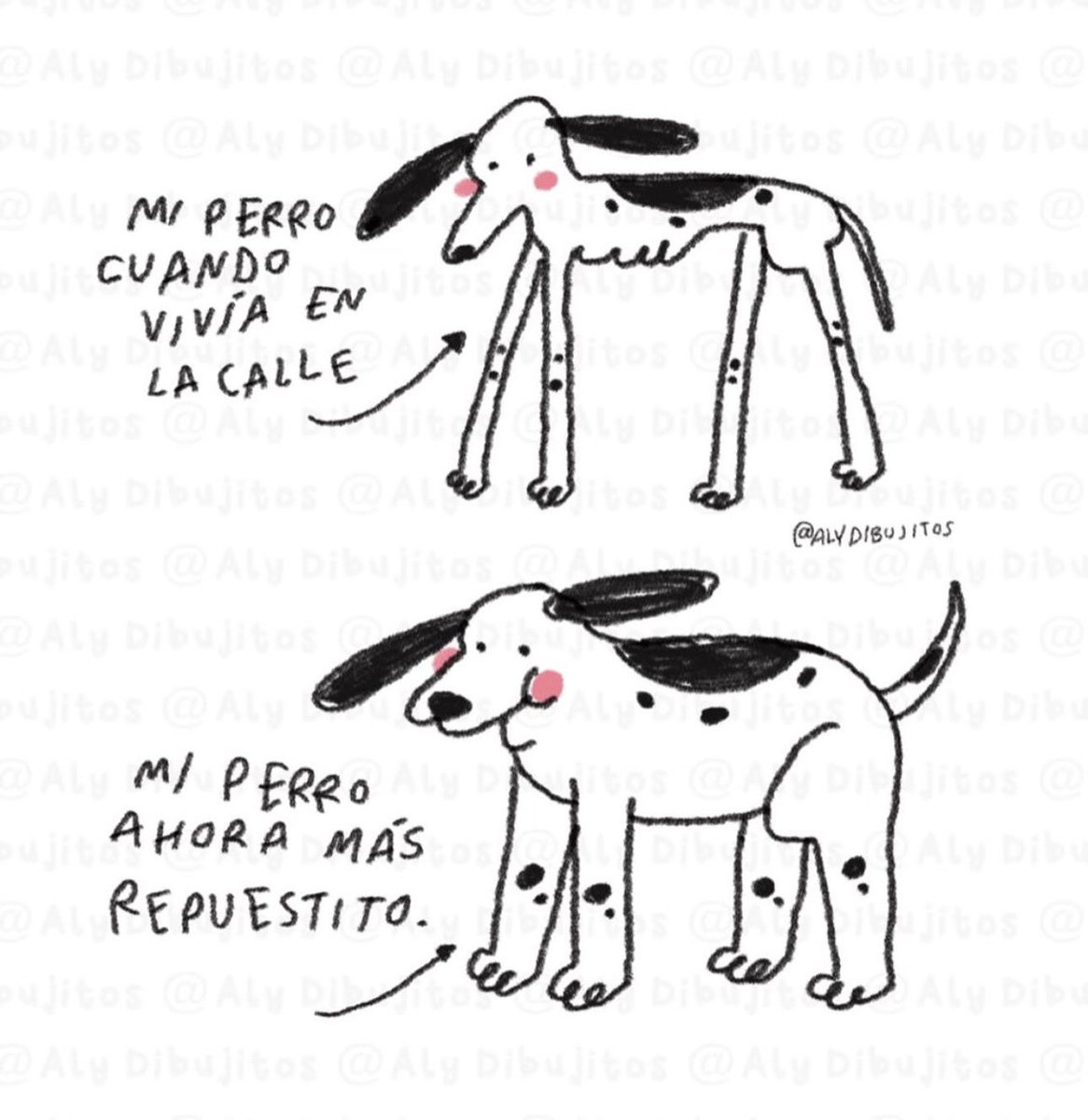 Lomitos Suavecitos (@suaveslomitos) on Twitter photo 