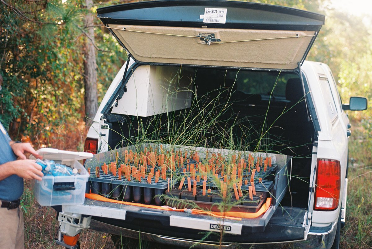 NC Botanical Garden tweet media