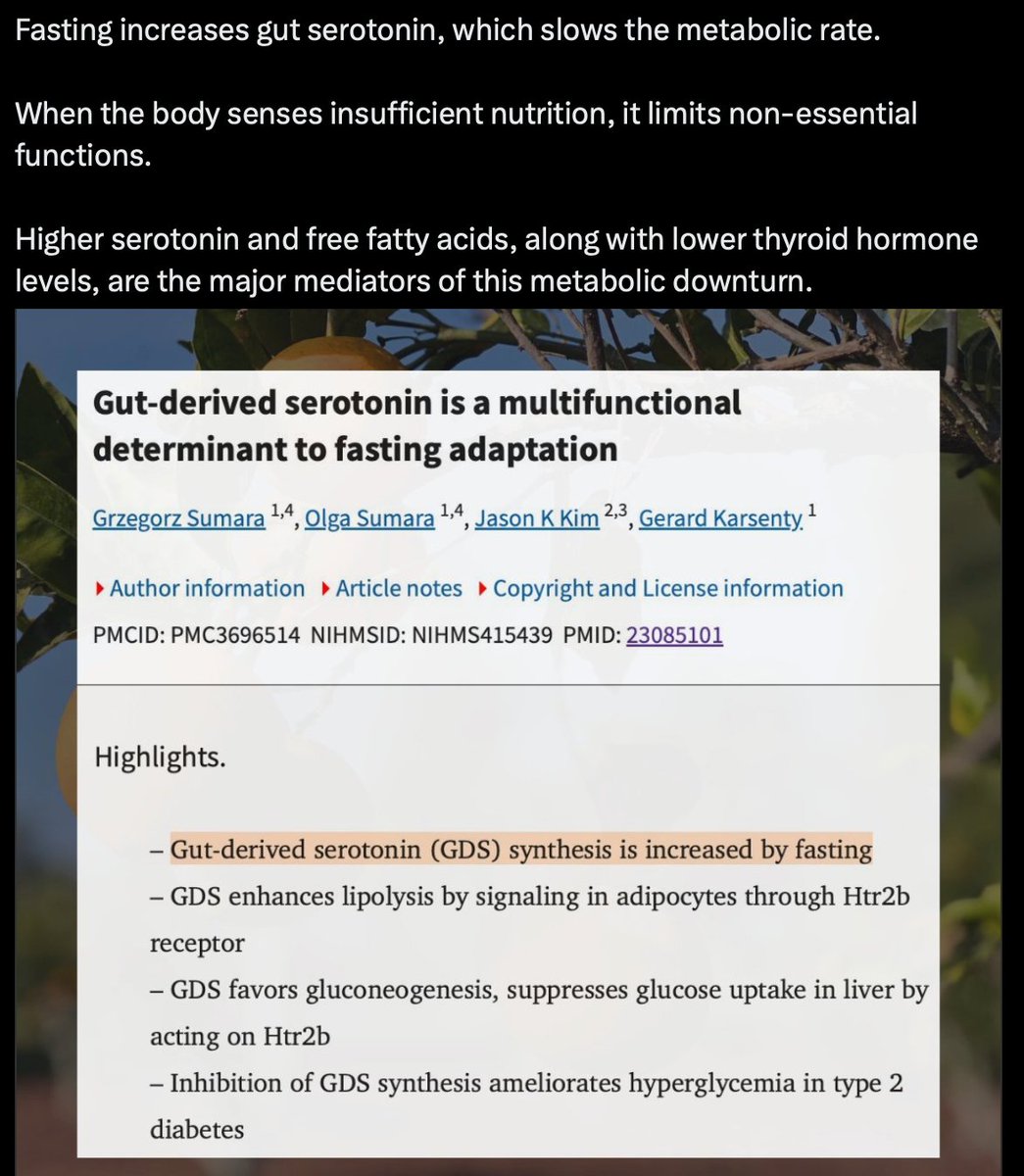 Master Metabolism tweet media