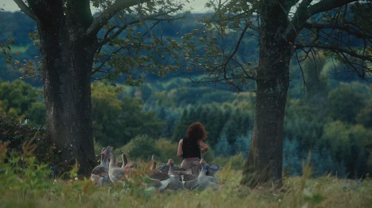 bestofsotr's tweet image. ‘The Hunger Games: Sunrise On The Reaping’ is the most-nominated film at #Oscars2027 , with 12 nominations.