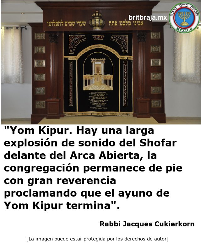 MxBrit's tweet photo. . #Jewish #Judios #Judeus #Judaica #Liberal #JudaismoLiberal #JudaismoReformista #JudaismoProgresista #Reformist #Liberalit #Guerim #AniYehudi #BritBraja #Jewitter #Progressive https://t.co/1zWgfLSmAo https://t.co/i9rh9WnjsV