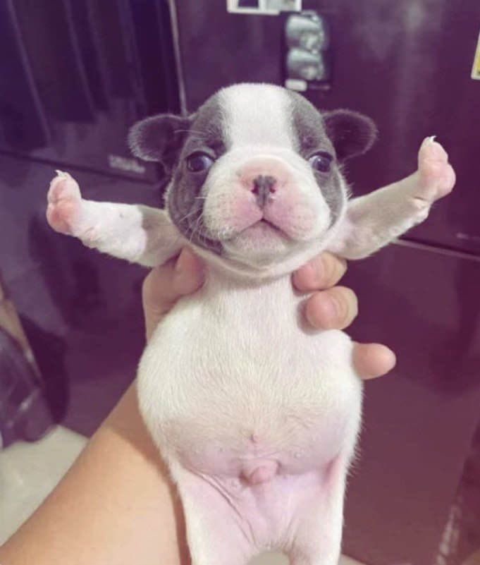 DragonairJordan23 tweet media