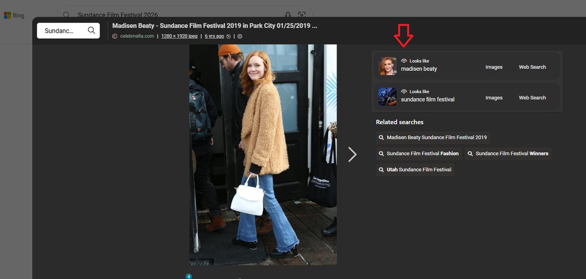 Red Leaf Web Design tweet media