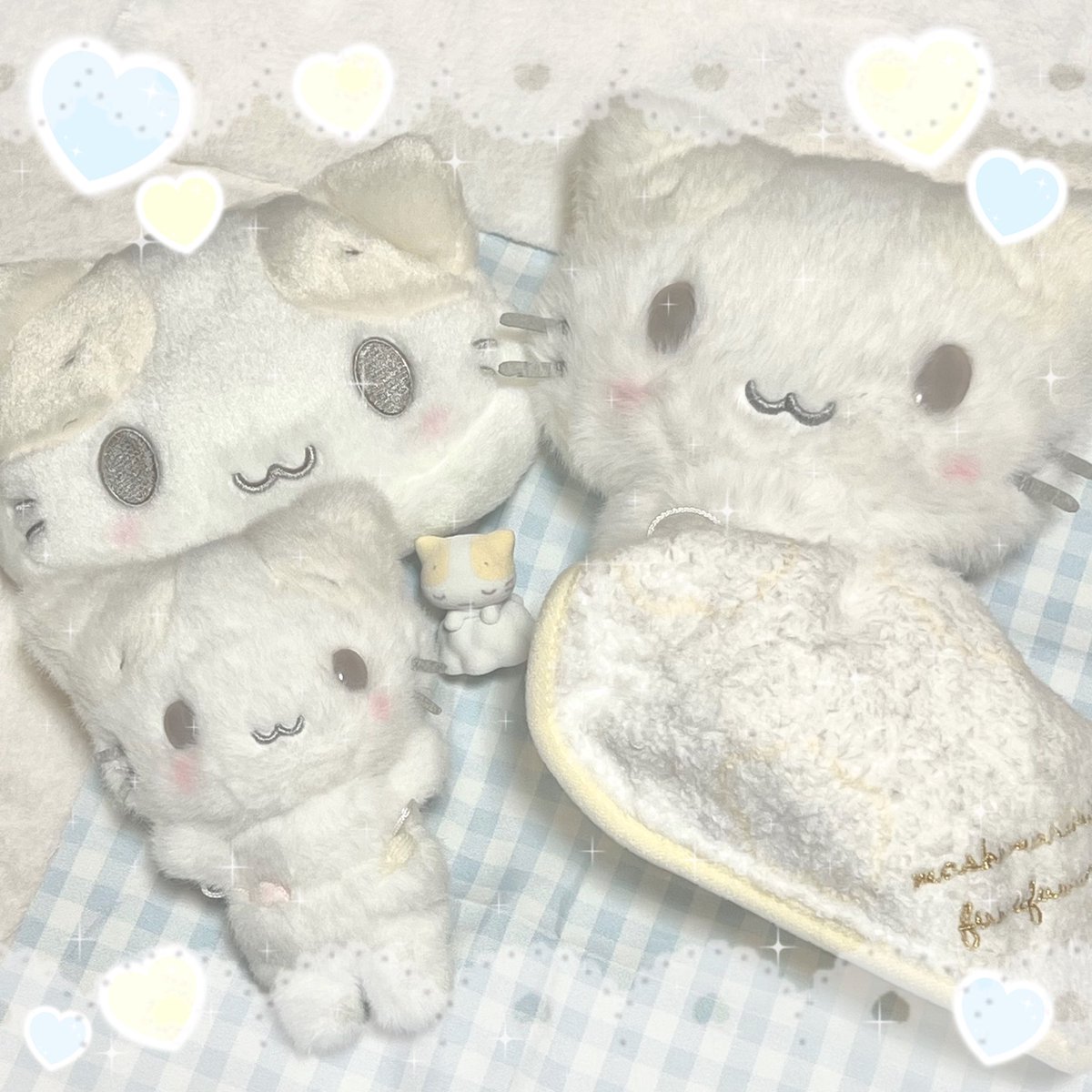 お写真ありがとうございます✨🍀✨ ふわふわの世界で最高です🌤