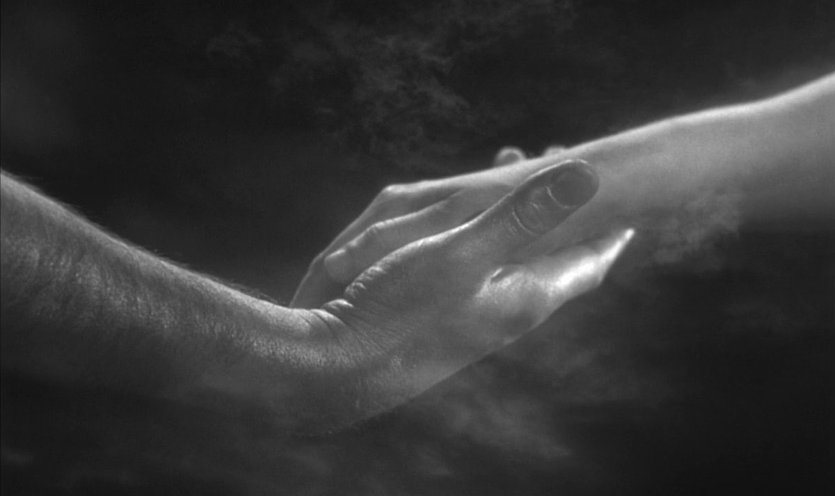 cinemariviera's tweet image. Wings of Desire (1987) / Wim Wenders