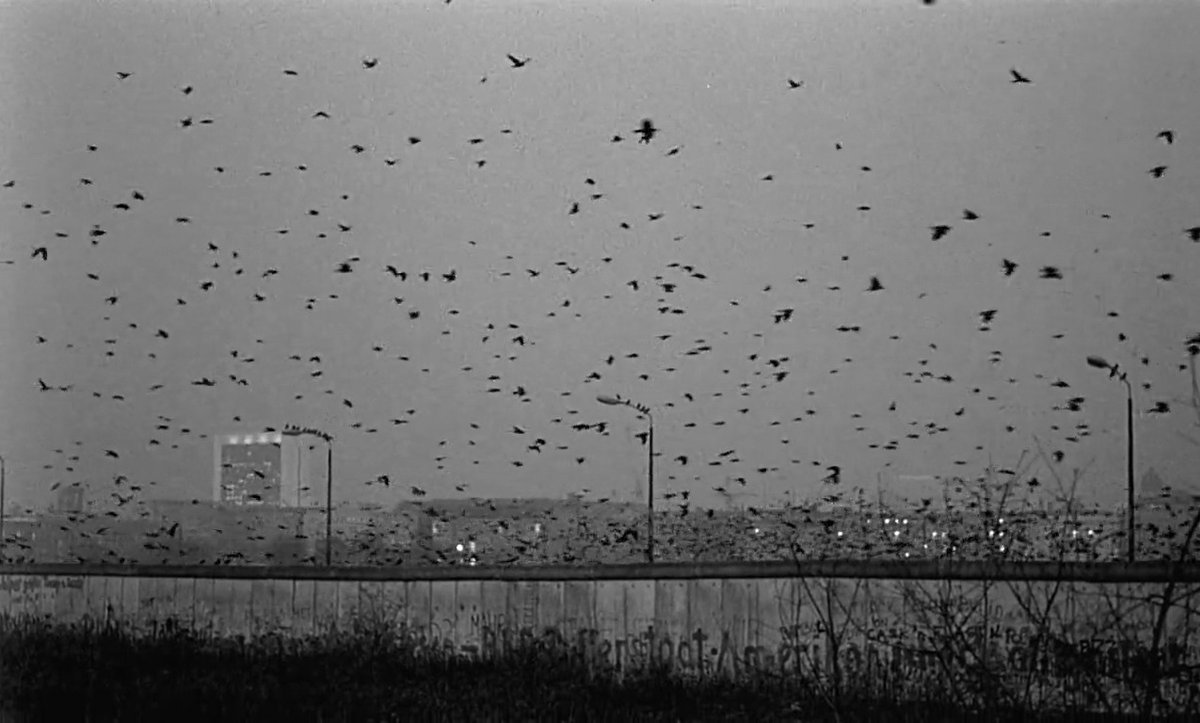 cinemariviera's tweet image. Wings of Desire (1987) / Wim Wenders