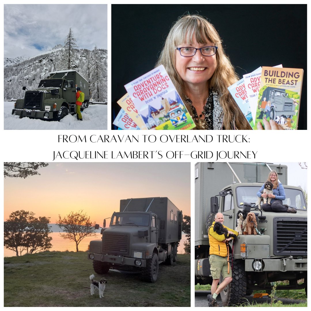 12 Volt Planet tweet media