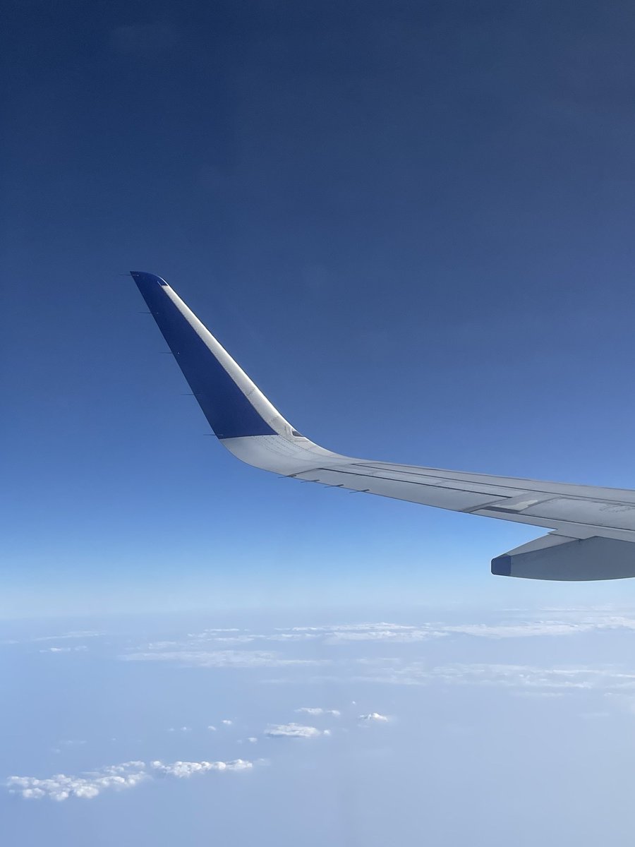 Matu 𝕏 Man tweet media