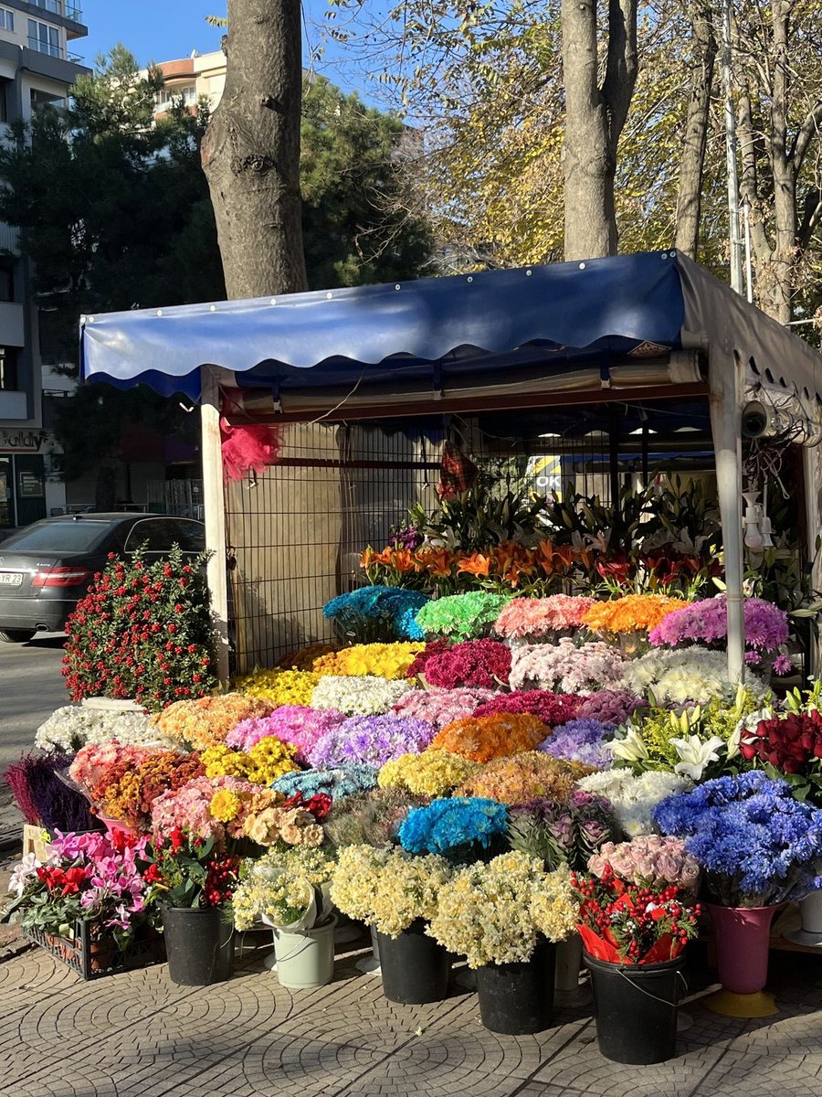 1leio's tweet image. 