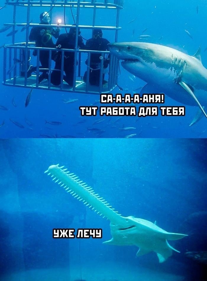 Пьяный Твиттер (@drunktwi) on Twitter photo 