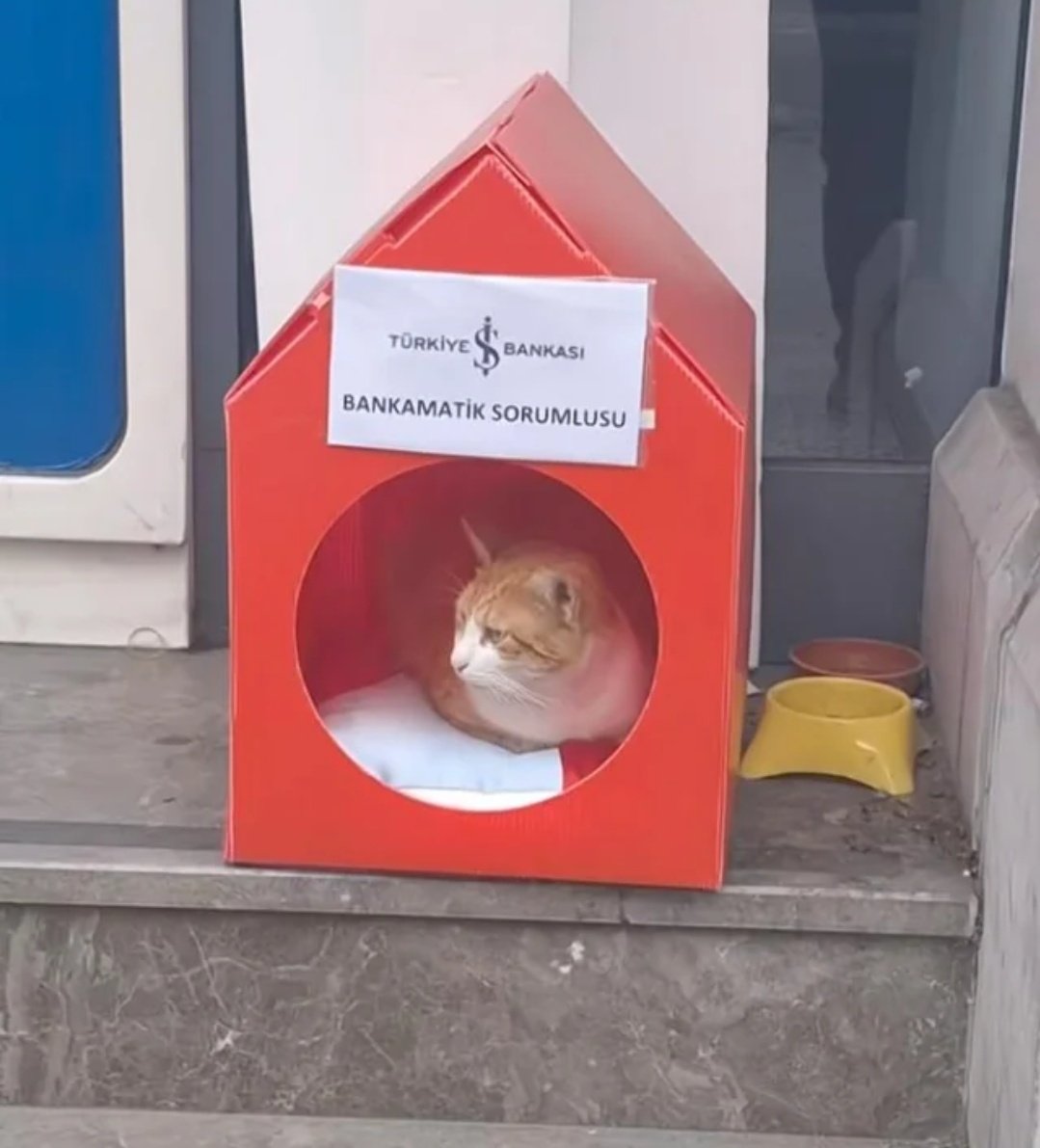 2.5 yıl sonra gelen urge