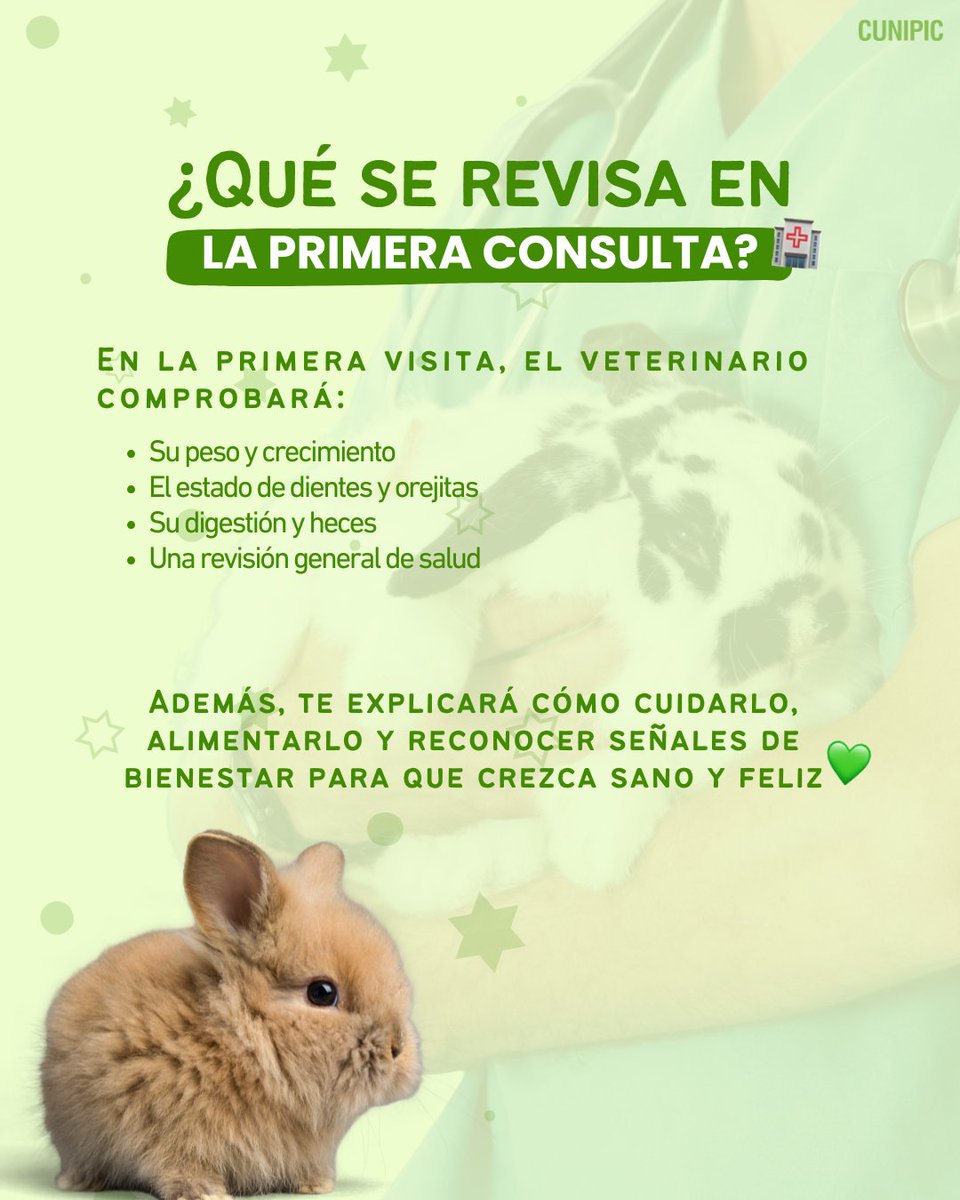 ¿Ha llegado un conejito a tu vida? 🐰✨ ¡Enhorabuena! Vas a descubrir un compañero súper cariñoso… pero también delicado 🥹💚Para que crezca sano y feliz, hay 3 cosas básicas que no pueden faltar.

#Cunipic #Conejo #Conejito #ConejitoBebe #Conejos