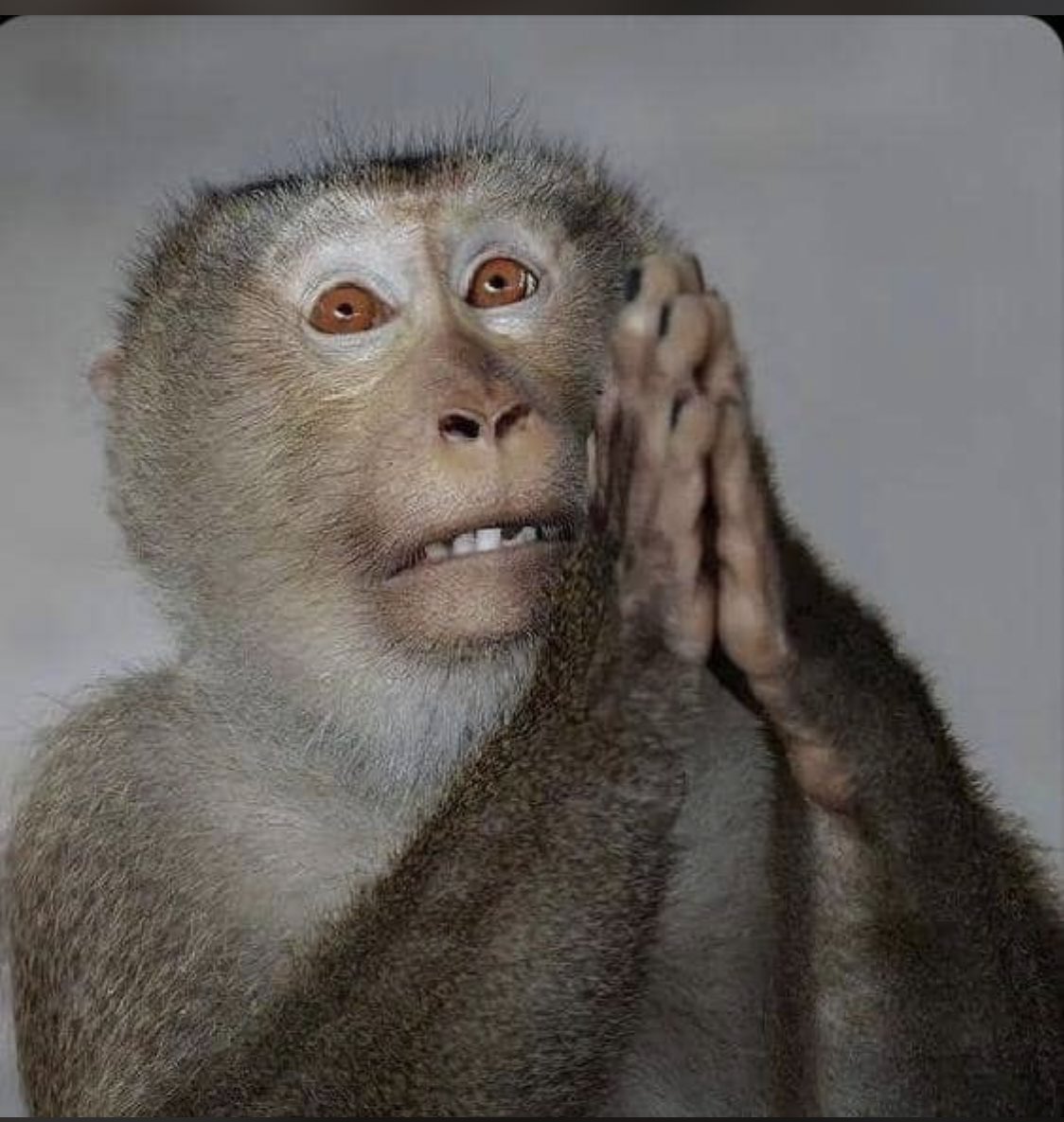 BIG EFE FX tweet media