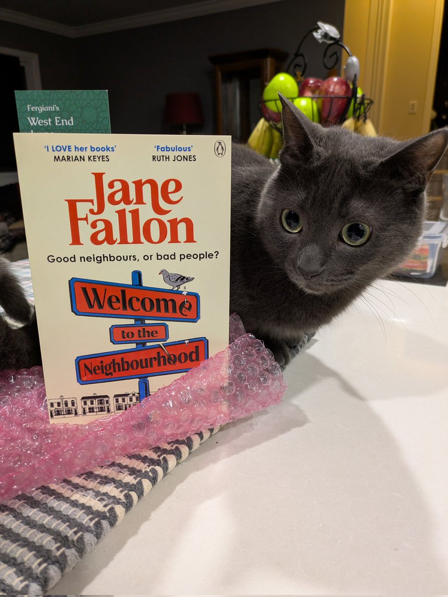 JodesJots's tweet photo. @JaneFallon The boys wouldn't sit together for a nice #promopets photo. It's hard to wrangle cats 😂. So separate photos it is! Angus looks like he can't be arsed 😂, &amp; Ricky isn't too sure what to make of it 🤦🤦
#WelcomeToTheNeighbourhood 
#LifeWithAngus
#LifeWithRicky https://t.co/Wnr1njVR9b
