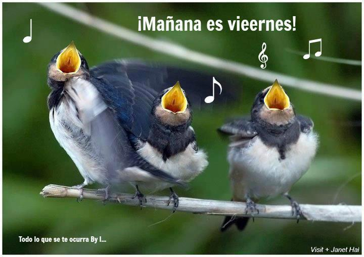 😌😌😌😌😌😎