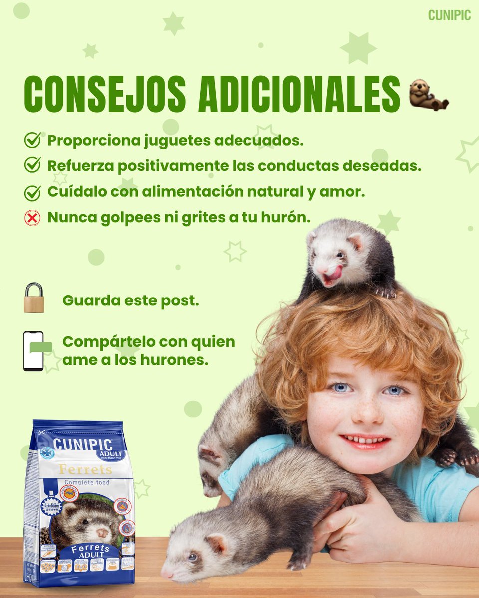 ¿Tu hurón te muerde y no sabes por qué? 😅🦦
Tranquilo, no siempre es agresividad. 

📌 Guárdalo para consultarlo cuando lo necesites
💬 ¿Tu hurón muerde más jugando o cuando se asusta? Te leo 👇

#Cunipic #Hurones #Huron #Hurón