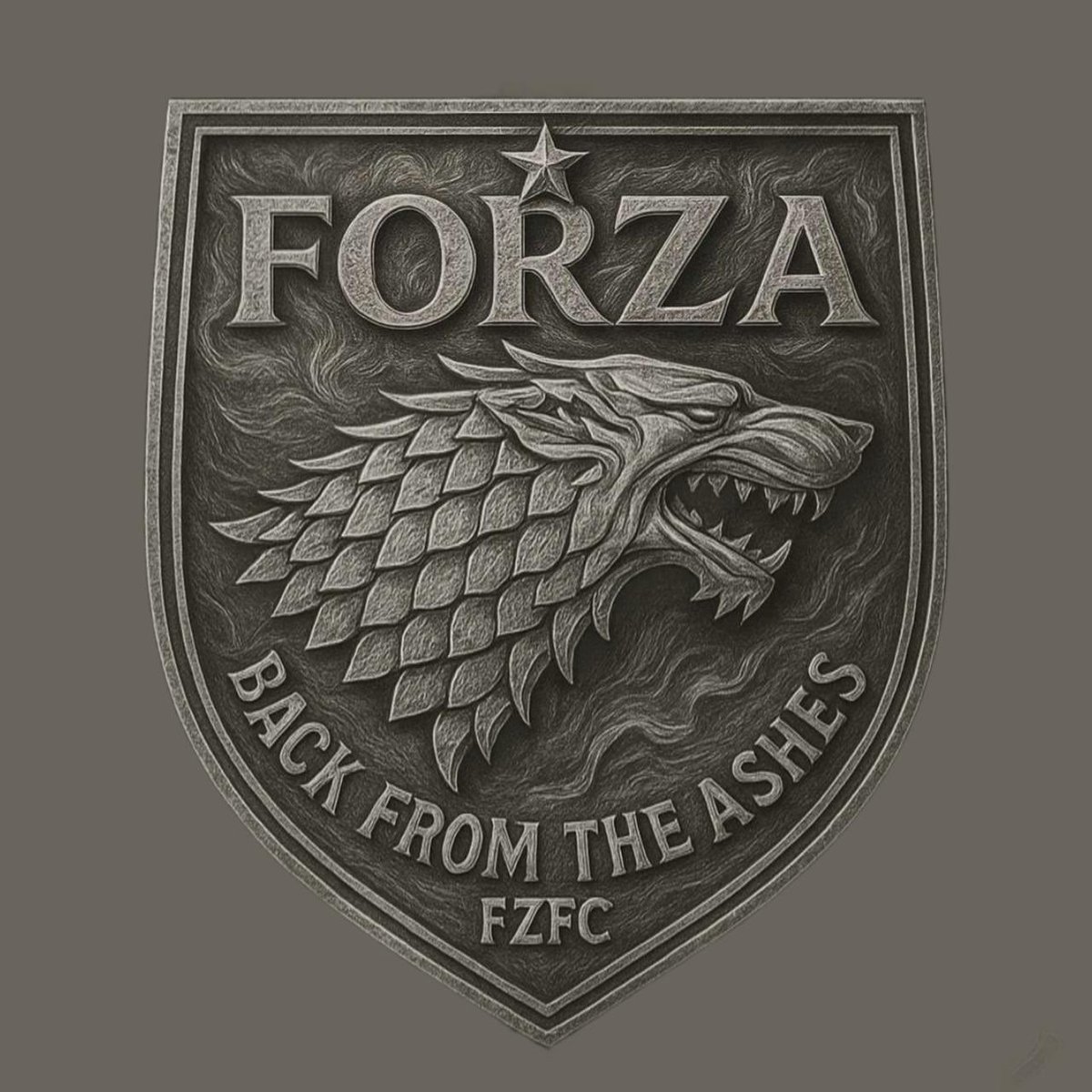 FORZA FC tweet media