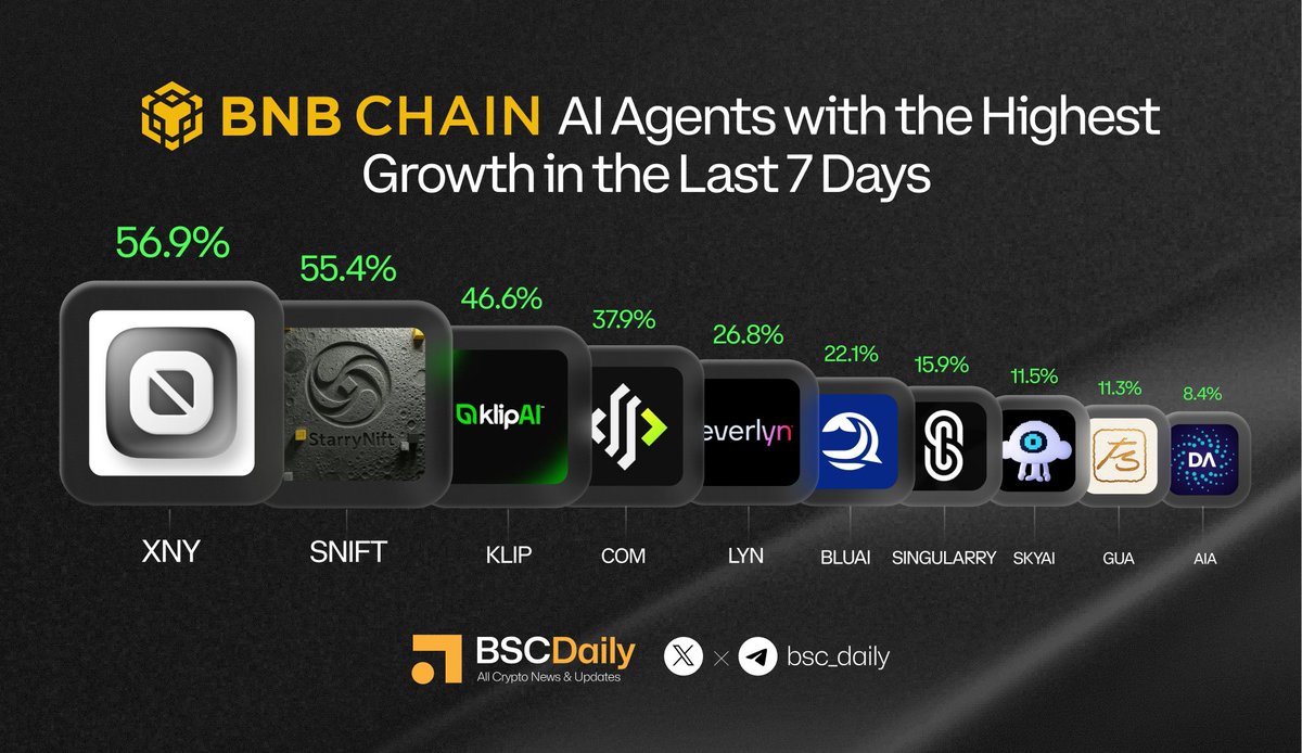 BSCDaily tweet media