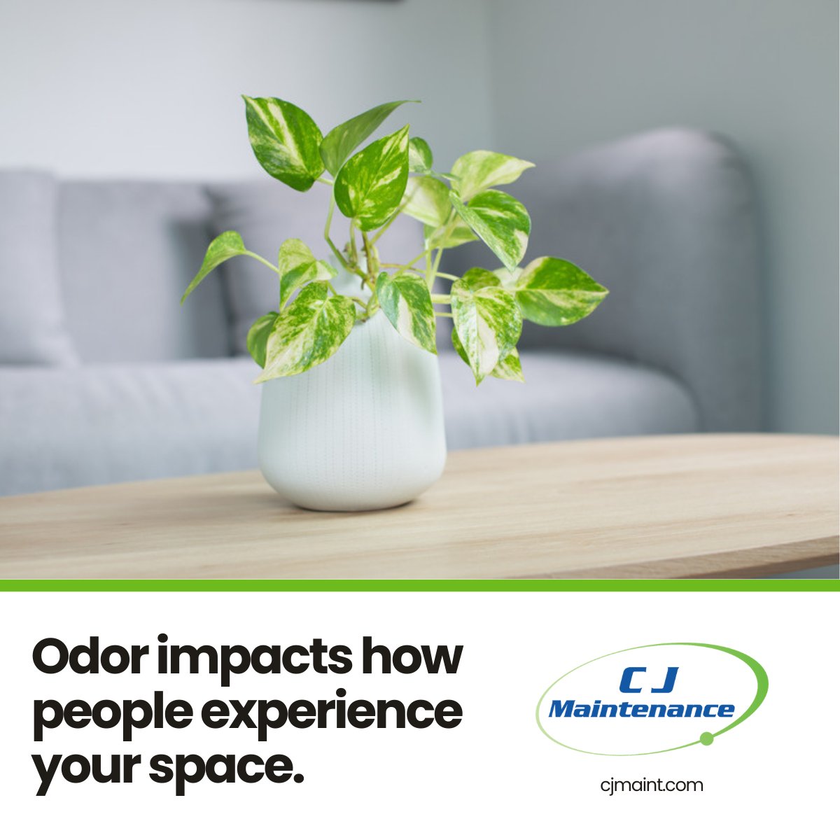 CJMaint's tweet image. Smell shapes first impressions. Masking odors is temporary. CJ Maintenance removes odors at the source for cleaner and healthier spaces.

cjmaint.com

#ReliableCleaning #CJMaintenance
