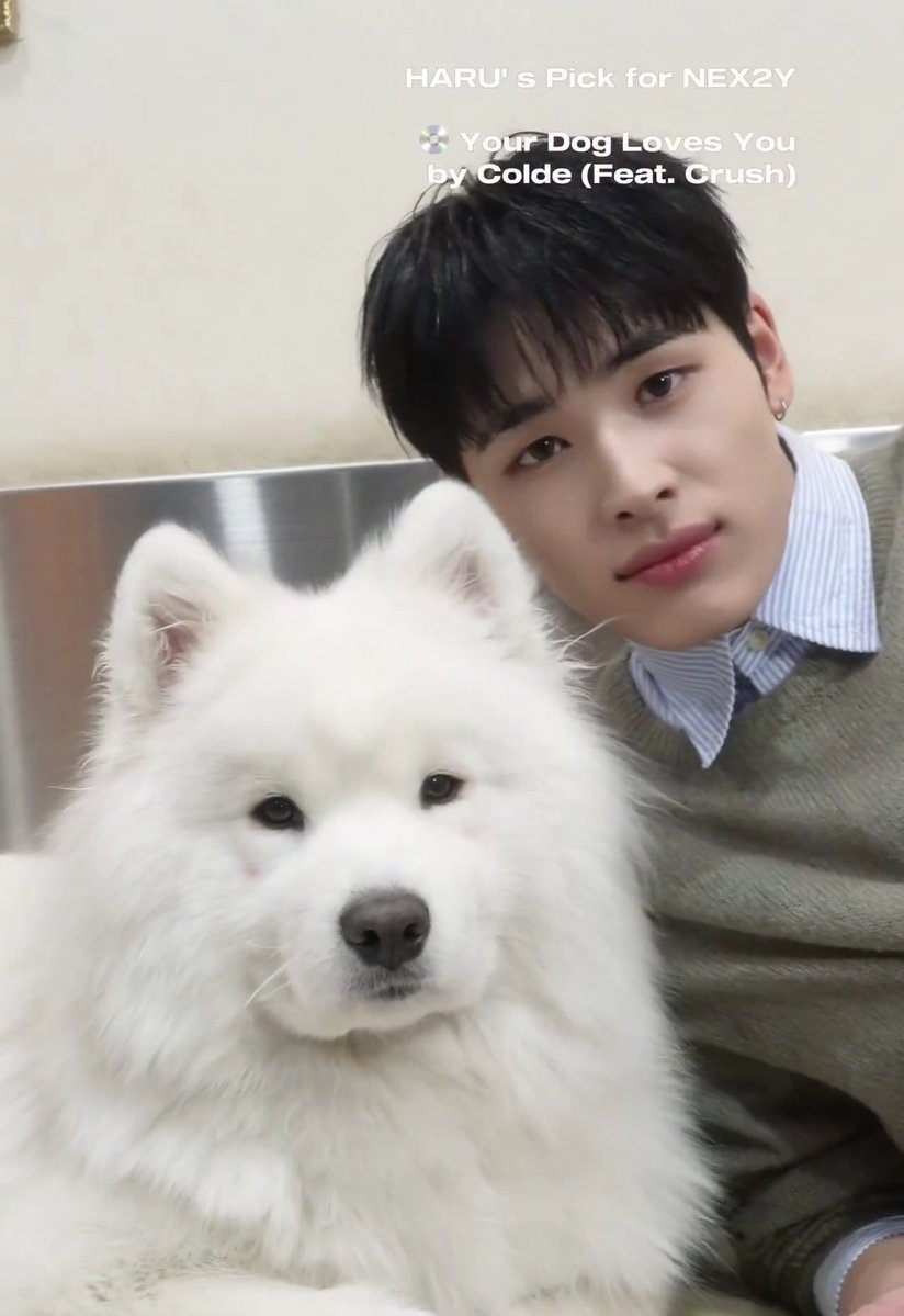 gettingstarry's tweet image. 너무에바적으로닮음