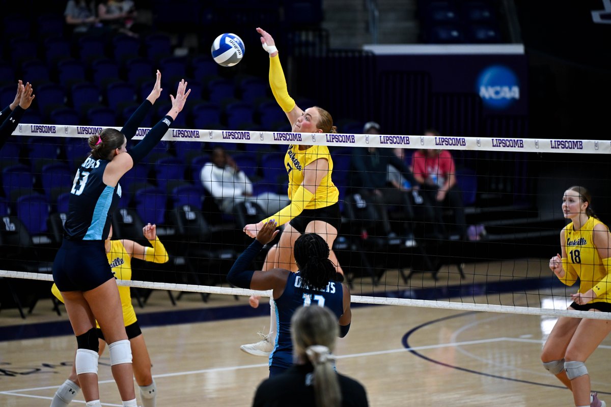 Lipscomb Volleyball tweet media